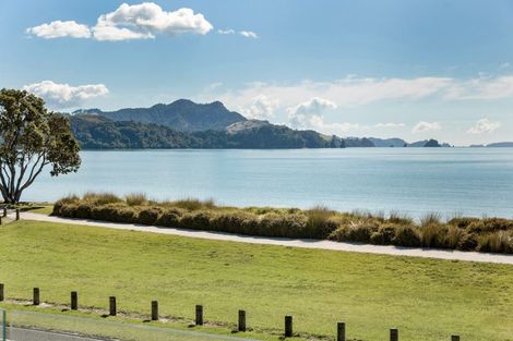Photo of property in 38 Buffalo Beach Road, Whitianga, 3510