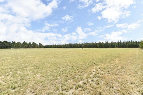 Photo of property in 221 Depot Road, Burnt Hill, Oxford, 7495