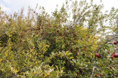 Photo of property in 82 Flygers Line, Milson, Palmerston North, 4478