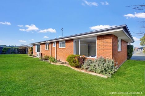 Photo of property in 37a Eton Street, Hampstead, Ashburton, 7700