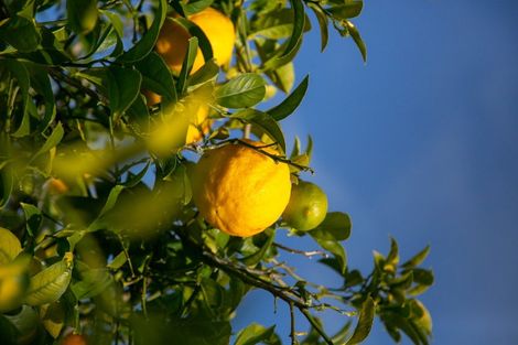 Photo of property in 32 Bryce Street, Cambridge, 3434