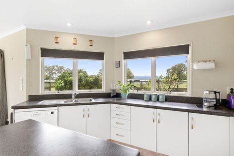 Photo of property in 60 Banks Road, Matamata, 3473