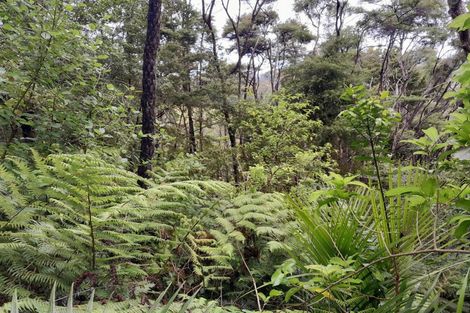 Photo of property in 18 Kawhina Lane, Kuaotunu, Whitianga, 3592