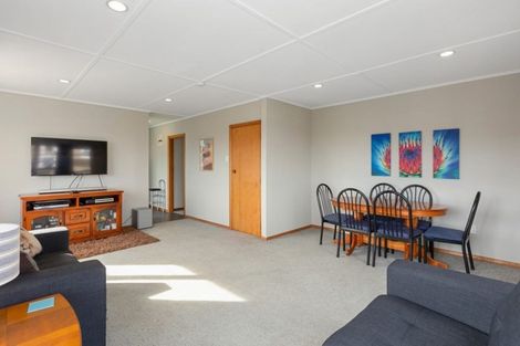 Photo of property in 119 Mulford Street, Concord, Dunedin, 9018