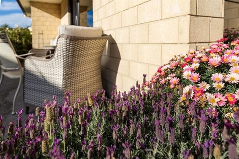 Photo of property in 2 Korari Grove, Redwoodtown, Blenheim, 7201