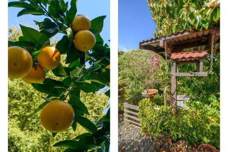 Photo of property in 561 Cambridge Road, Tauriko, Tauranga, 3110
