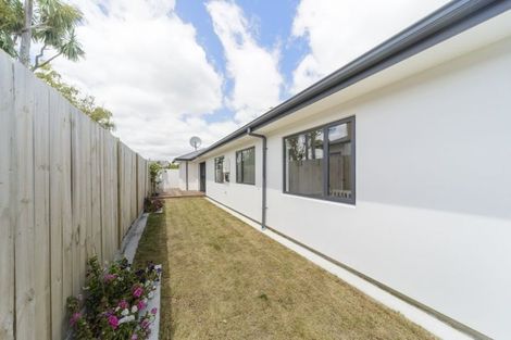 Photo of property in 113b Ferguson Street, West End, Palmerston North, 4412
