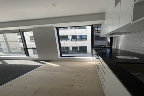 Photo of property in A C Nielsen House, 203/120 Victoria Street, Te Aro, Wellington, 6011