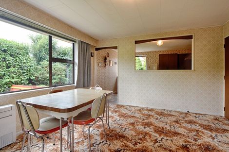 Photo of property in 3 Robertson Street, Gore, 9710