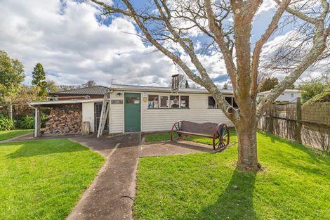 Photo of property in 30 Macarthur Street, Levin, 5510