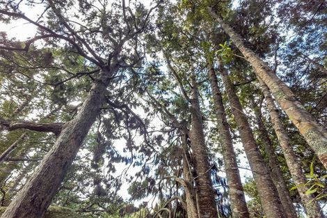 Photo of property in 105 Bodhisattva Road, Waitoki, Silverdale, 0994