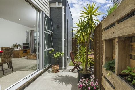 Photo of property in 41 Liquidambar Drive, Hobsonville, Auckland, 0616