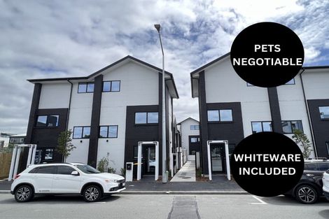 Photo of property in 9/9 Southwark Street, Christchurch Central, Christchurch, 8011