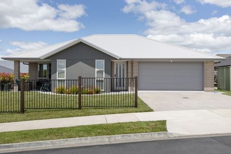 Photo of property in 3b Richardson Road, Omokoroa, 3114