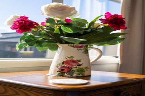 Photo of property in 11 Walter Court, Cambridge, 3434