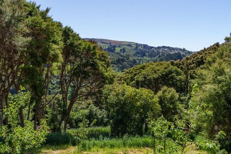 Photo of property in 24 Fred Hollows Way, Glenleith, Dunedin, 9010