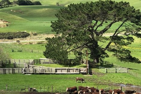 Photo of property in 49 Kai Iwi Lakes Road, Omamari, Dargaville, 0373