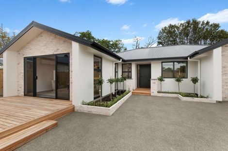 Photo of property in 19a Dudley Street, Levin, 5510