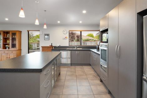 Photo of property in 38 Elmwood Avenue, Witherlea, Blenheim, 7201