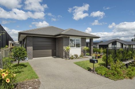 Photo of property in 66 Sentinel Avenue, Omokoroa, 3114