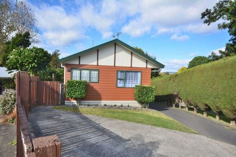 Photo of property in 169a Otumoetai Road, Brookfield, Tauranga, 3110