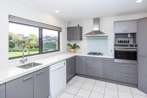 Photo of property in 17 Innswood Place, Rototuna North, Hamilton, 3210