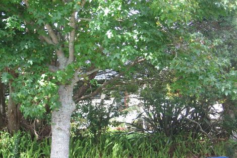 Photo of property in 9 Humphrey Kemp Avenue, Henderson, Auckland, 0612