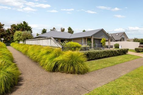 Photo of property in 43 Benmore Crescent, Pyes Pa, Tauranga, 3112