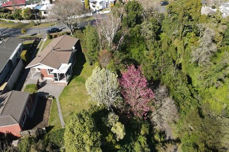 Photo of property in 107 Fitzroy Avenue, Fitzroy, Hamilton, 3206