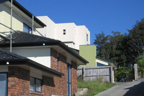 Photo of property in 44 Gold Street, Albany Heights, Auckland, 0632