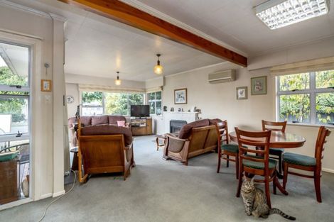 Photo of property in 29 Fergusson Street, Solway, Masterton, 5810