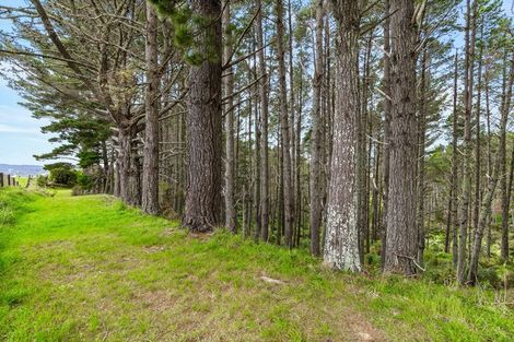 Photo of property in 132b Dormer Road, Waitoki, Helensville, 0875