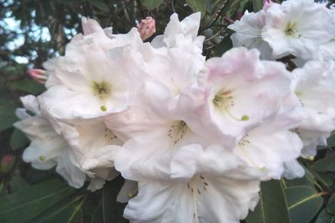 Photo of property in 1 Chamberlain Street, Waimangaroa, Westport, 7891