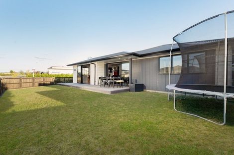 Photo of property in 114 Te Ranga Memorial Drive, Pyes Pa, Tauranga, 3112