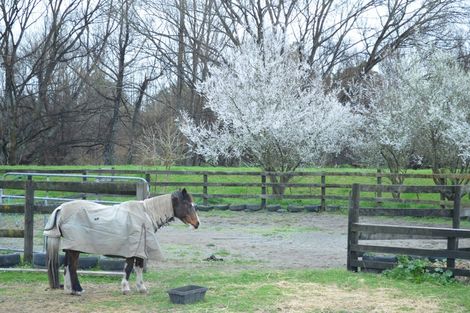 Photo of property in 2966 State Highway 2, Waipukurau, 4281