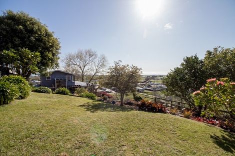 Photo of property in 17 Cullen Street, Paeroa, 3600