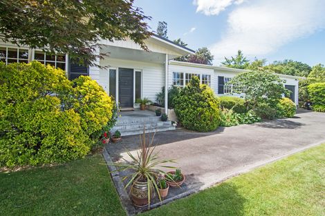 Photo of property in 27 Plunket Street, Kelburn, Wellington, 6012