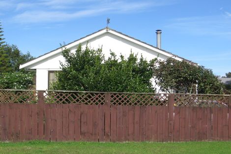 Photo of property in 24 Hinerau Street, Henderson, Auckland, 0612