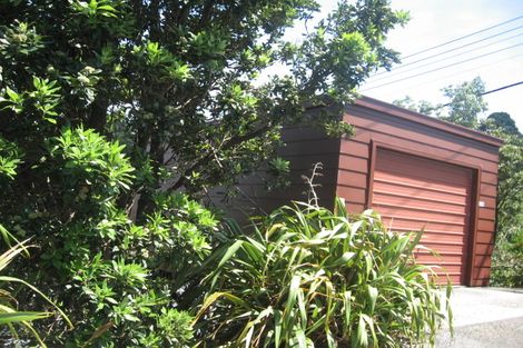 Photo of property in 125 Rakau Road, Hataitai, Wellington, 6021