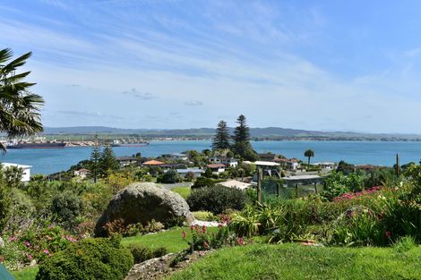 Photo of property in 95 Reotahi Road, Whangarei Heads, Whangarei, 0174