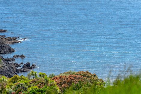 Photo of property in 62-64 Lax Crescent, Leigh, 0985