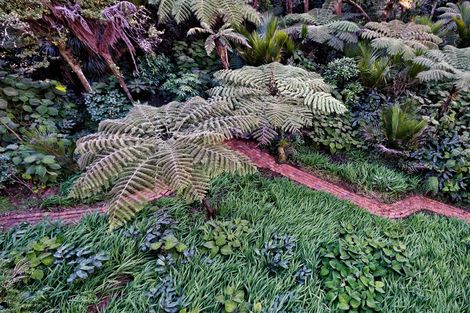 Photo of property in 39 Kohu Road, Titirangi, Auckland, 0604