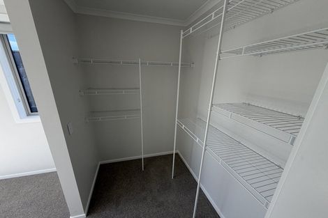 Photo of property in 124 Dunlop Road, Te Puke, 3183