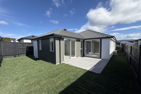 Photo of property in 124 Dunlop Road, Te Puke, 3183