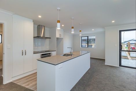 Photo of property in 71b Hinemoa Street, Levin, 5510