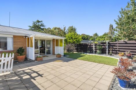 Photo of property in 11b Balmoral Terrace, Otumoetai, Tauranga, 3110