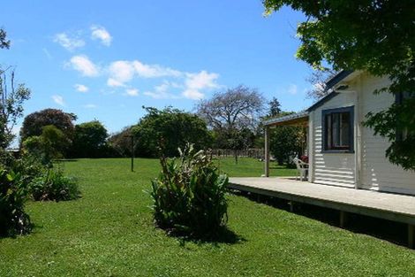 Photo of property in 53 Kimberley Road, Levin, 5571