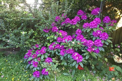 Photo of property in 6a Hart Street, Belleknowes, Dunedin, 9011