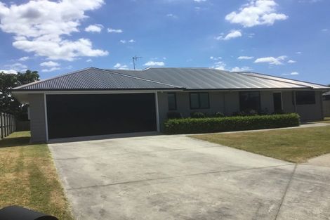 Photo of property in 20 Maple Place, Matamata, 3400