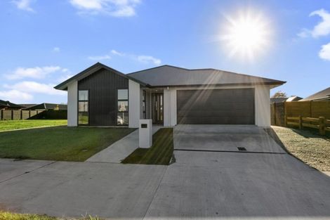 Photo of property in 30 Terry Came Drive, Cambridge, 3434